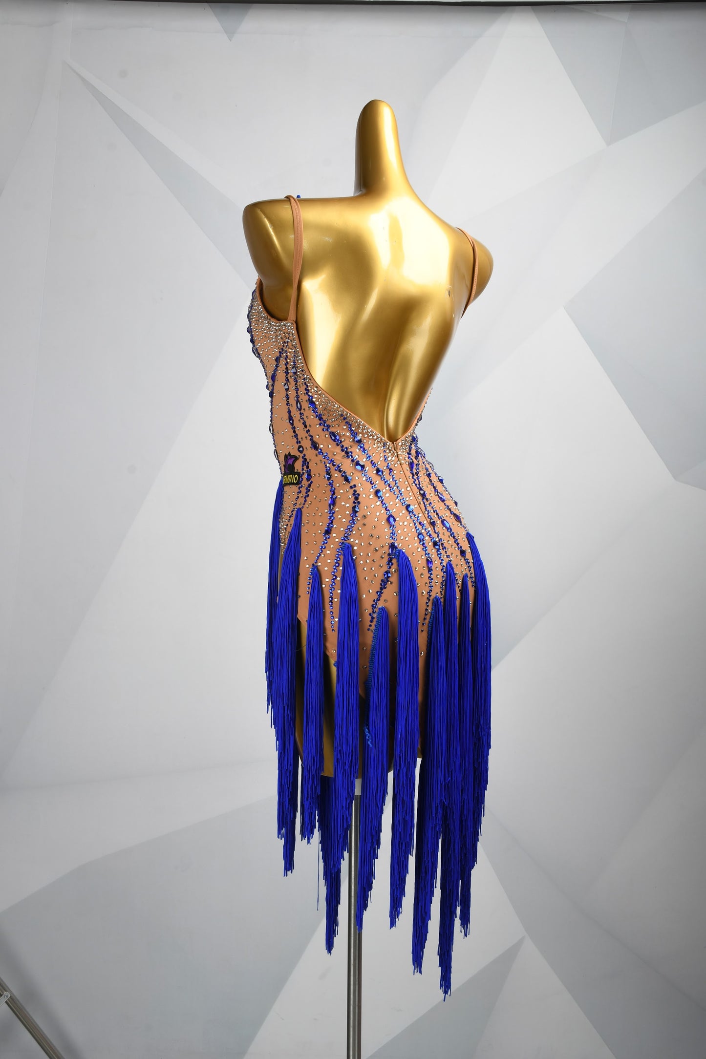 Every Fringe Tells a Story | Crystal Latin Dress | DSC_1915
