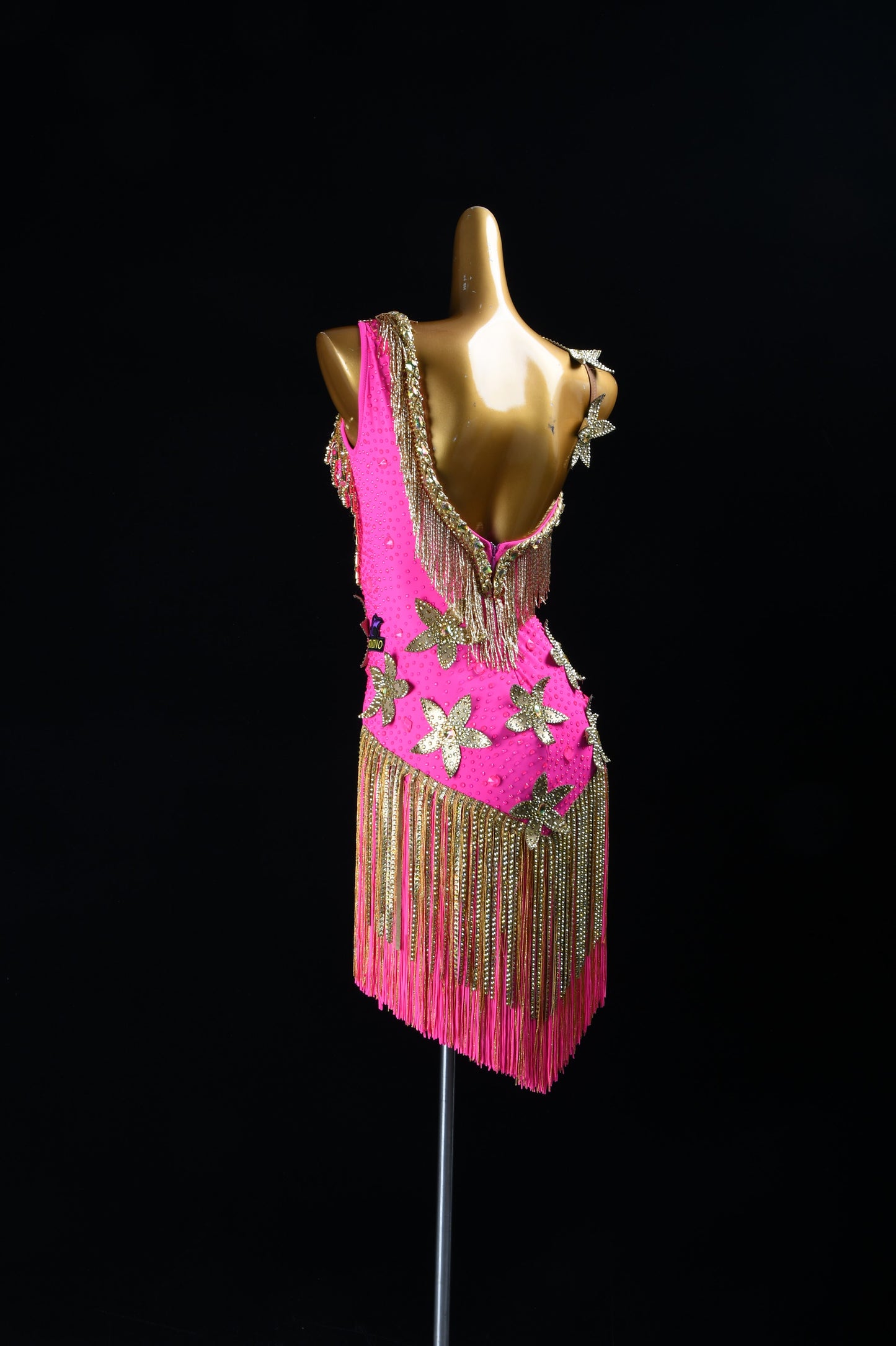 Blush of the Tropics | Latin Dress For Sale | DSC_6841