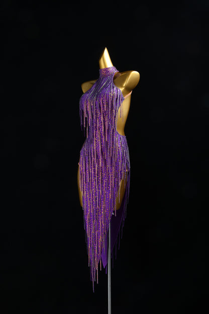 Latin Dance Dress