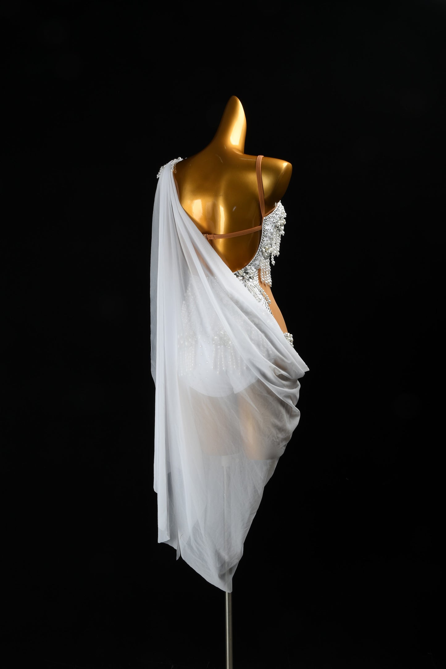 The White Swan Fantasy | Latin Dress For Ladies | DSC_7318