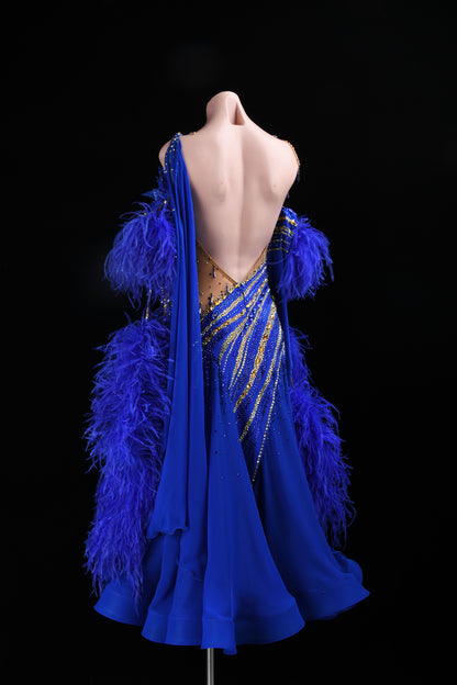 Ballroom Competition Costume