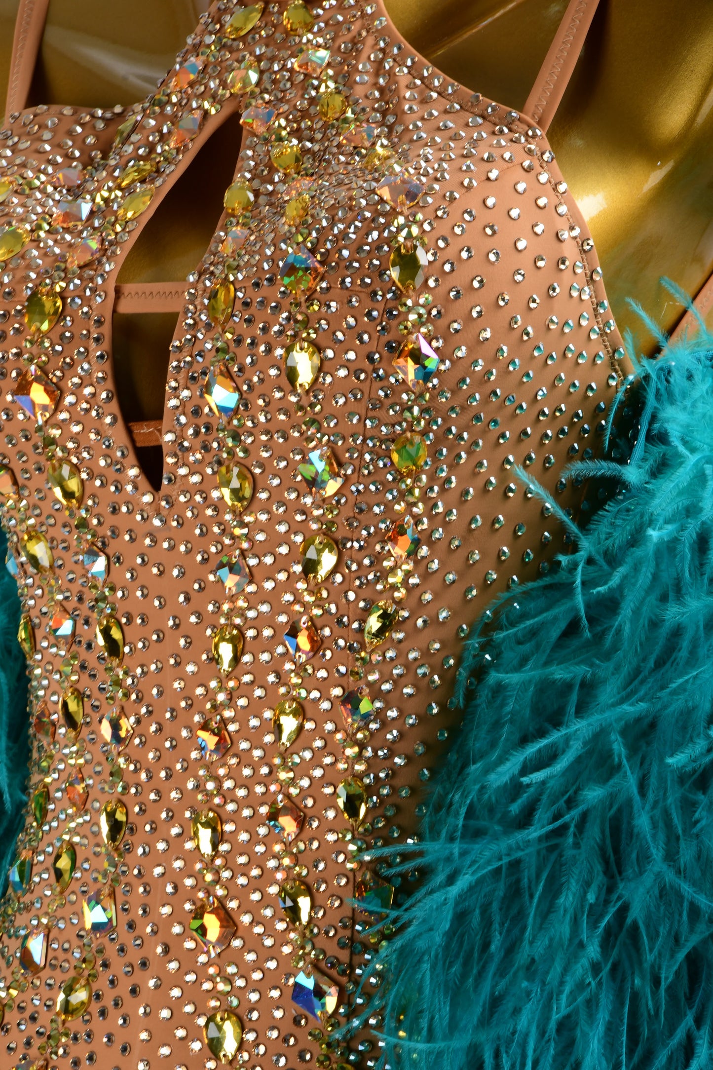 Feathered Ballroom Dress