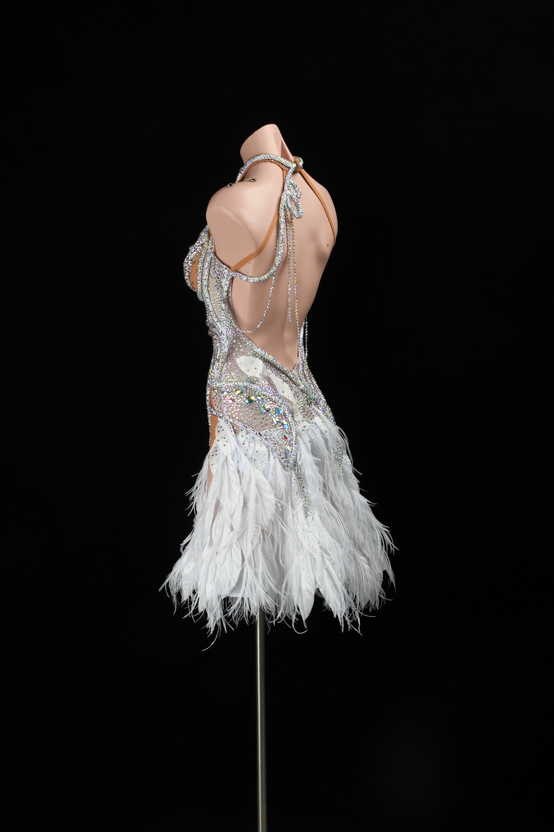 Latin Dance Costume
