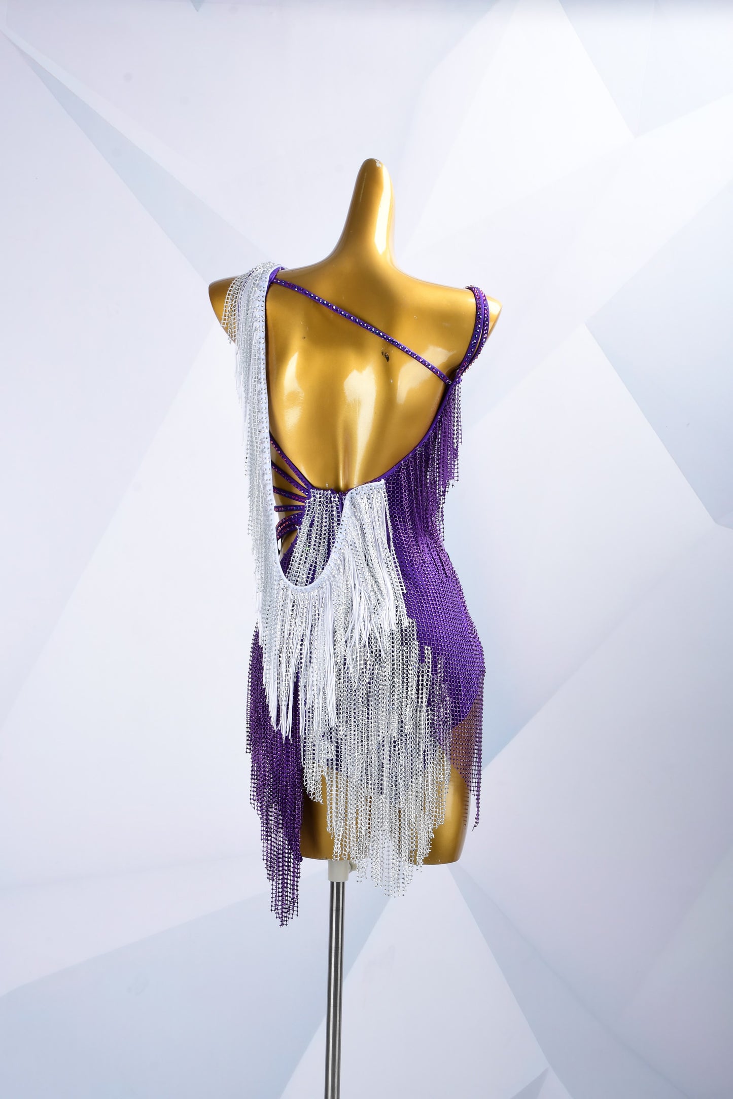 Crystal Dance Costume
