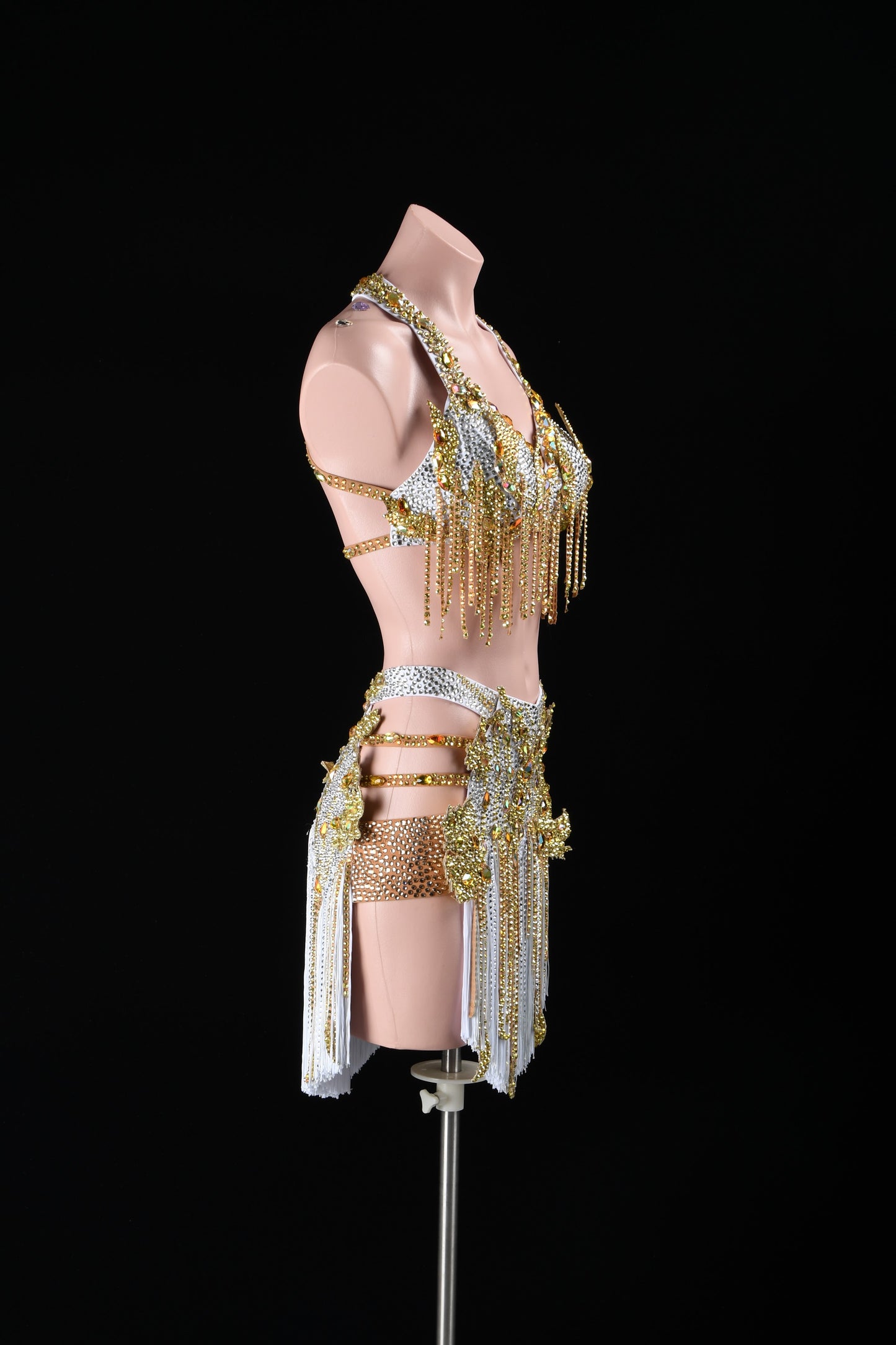 Champagne Empress | Glamour Latin Dress | DSC_3239