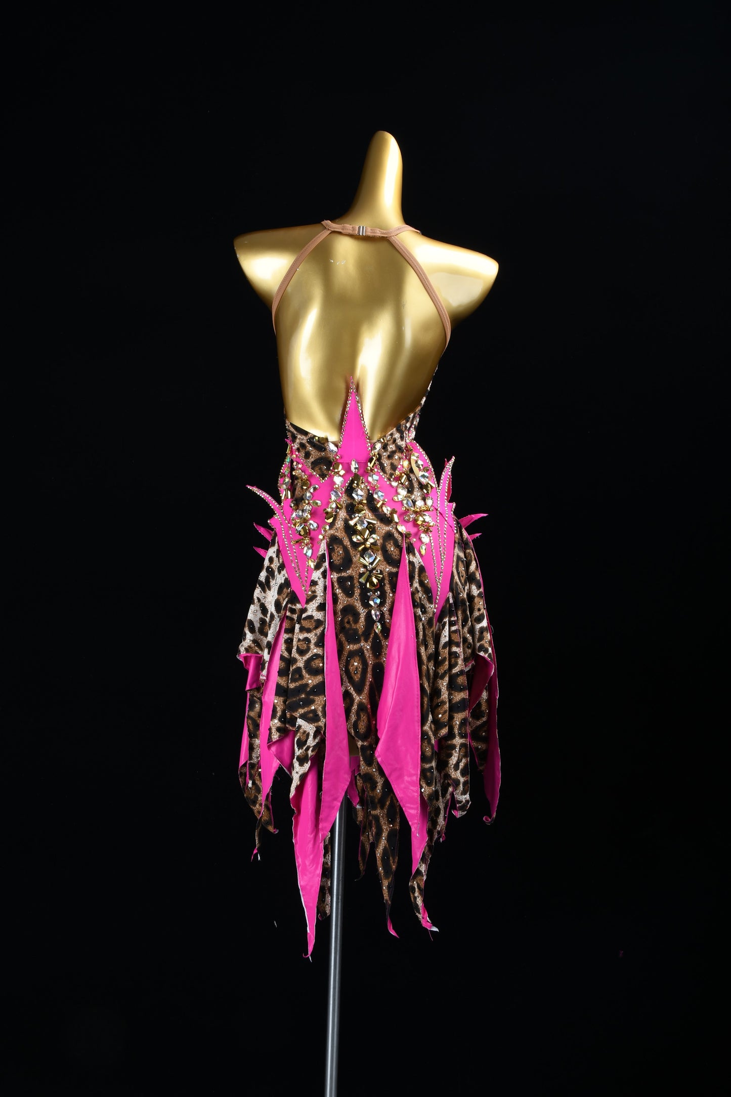 Flaming Wildflower | Latin Rhinestone Dress | DSC_7914