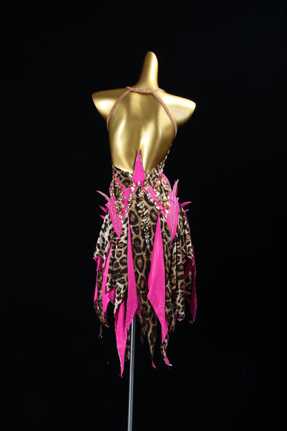 Flaming Wildflower | Latin Rhinestone Dress | DSC_7914