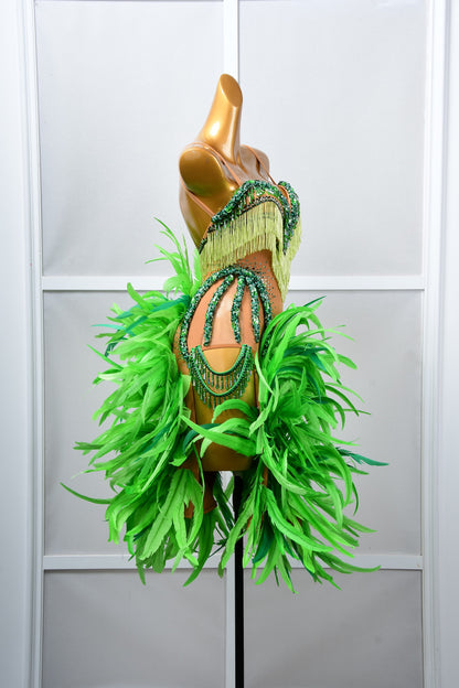 Latin Dancewear Dress