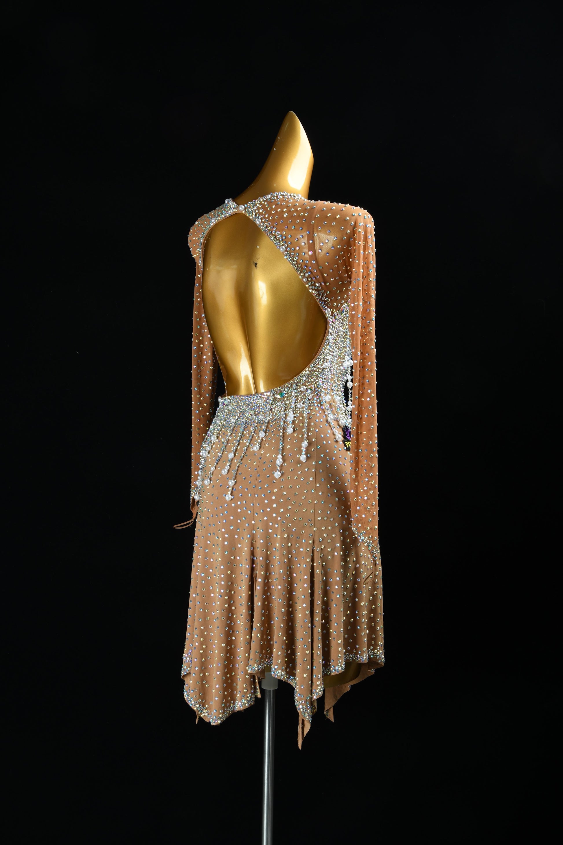 Professional Latin Dress