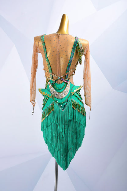 Latin Fringe Dress