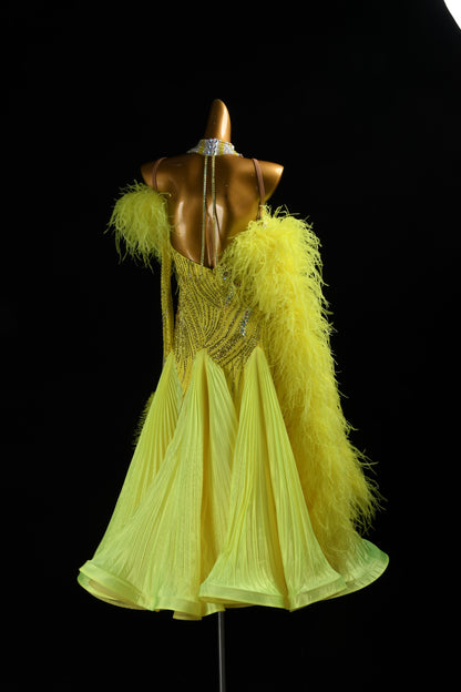 Couture Ballroom Dress