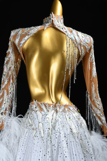 Standard Ballroom Dress