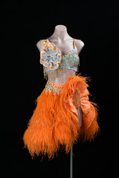 Texture as Movement | Latin Competition Dress | DSC_8941