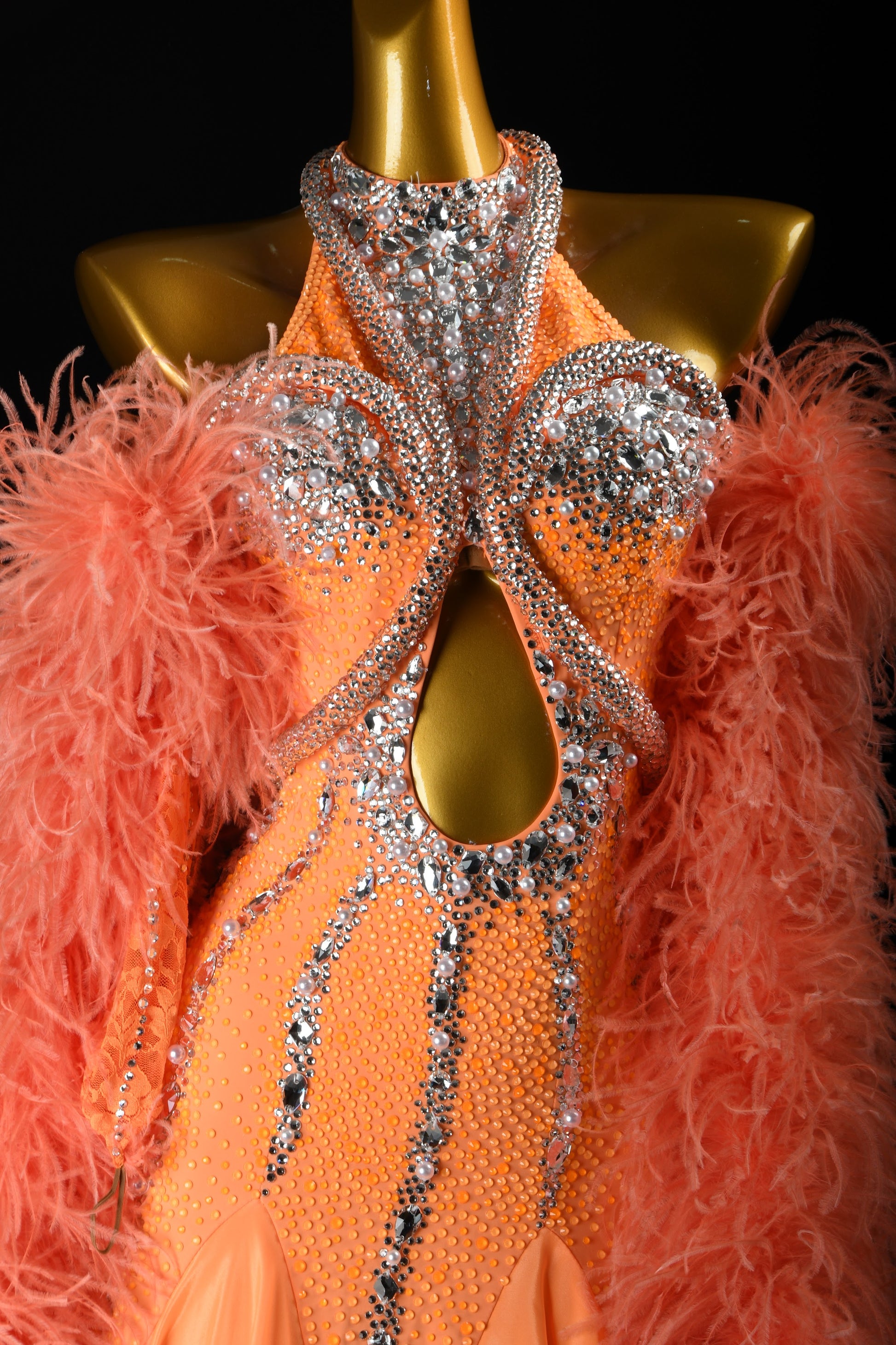 Professional Ballroom Competition Dress 