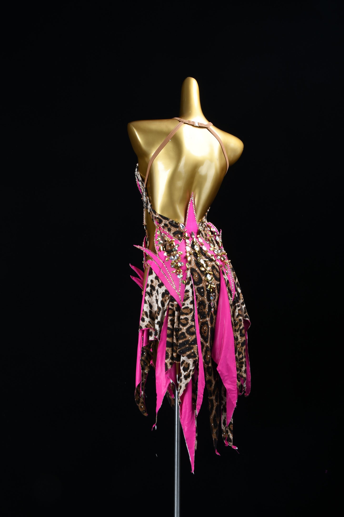 Flaming Wildflower | Latin Rhinestone Dress | DSC_7914