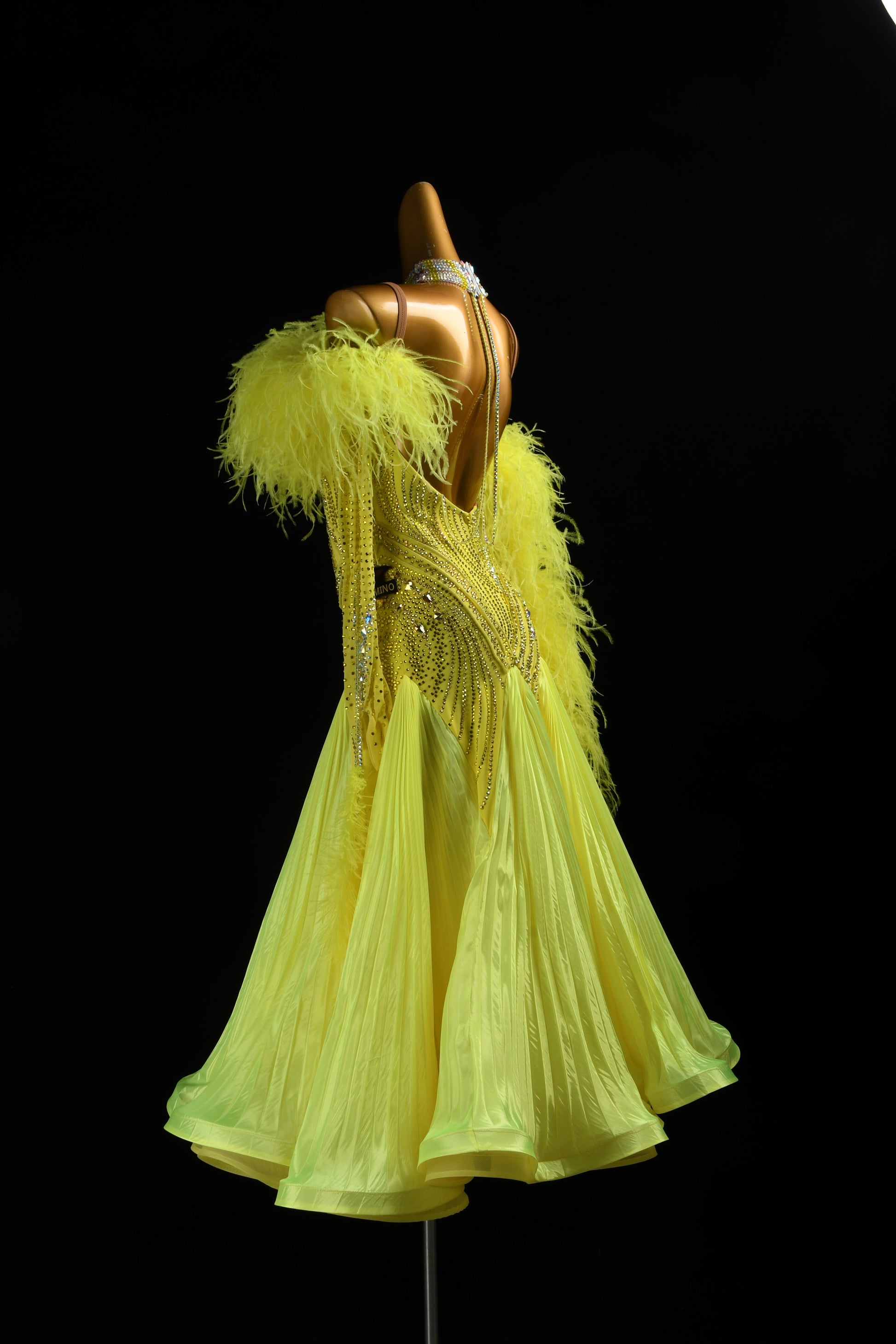 Couture Ballroom Dress