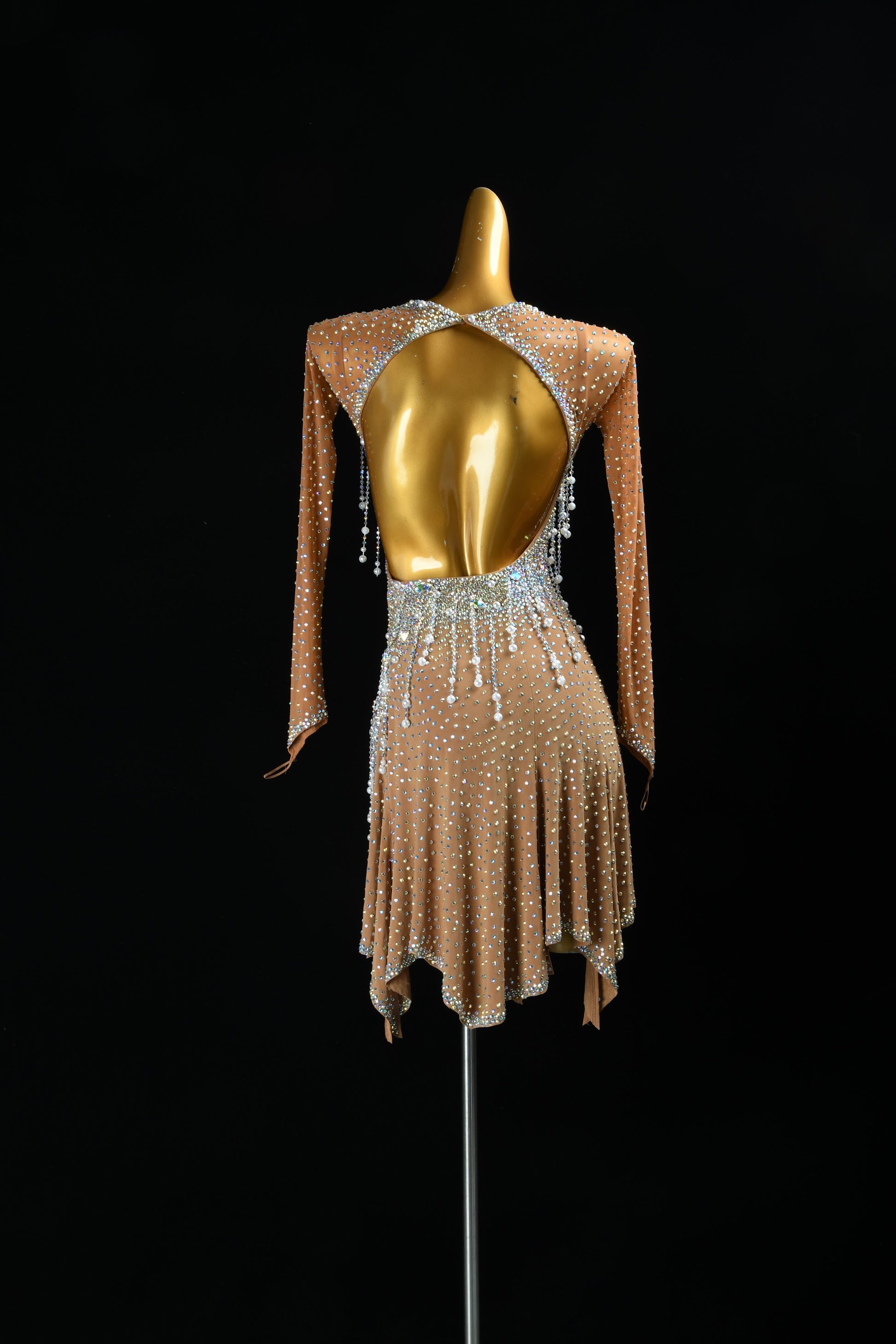 Professional Latin Dress