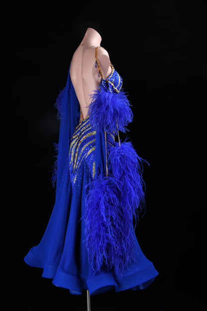 Ballroom Competition Costume