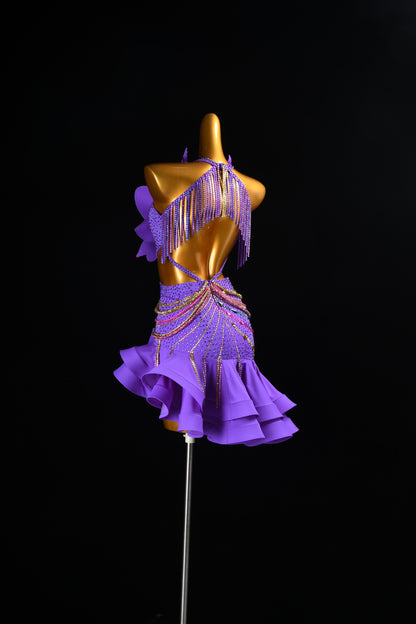 Latin Dance Costume