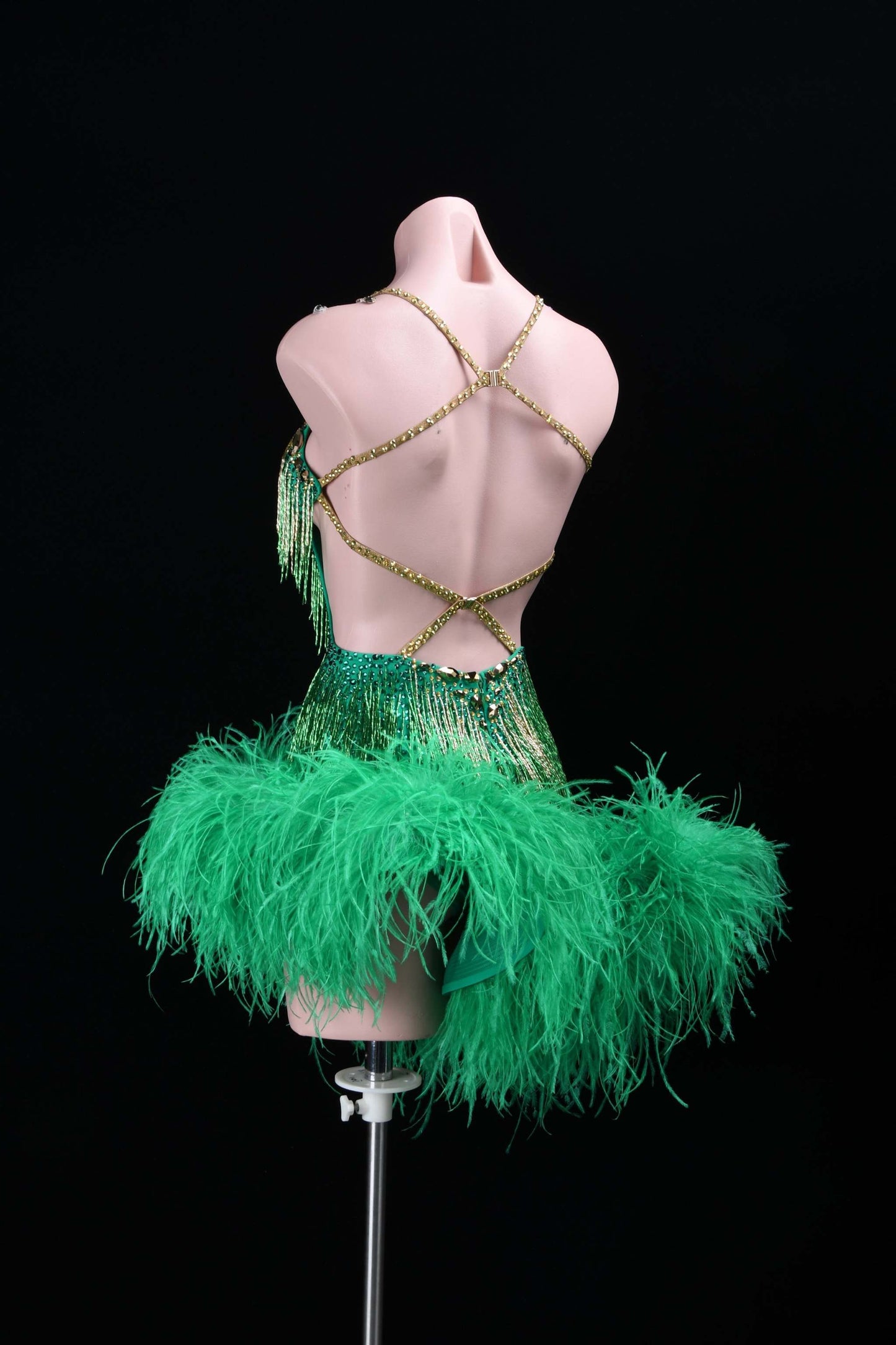 A Spectacle in Motion | Latin Dance Costume | DSC_0174