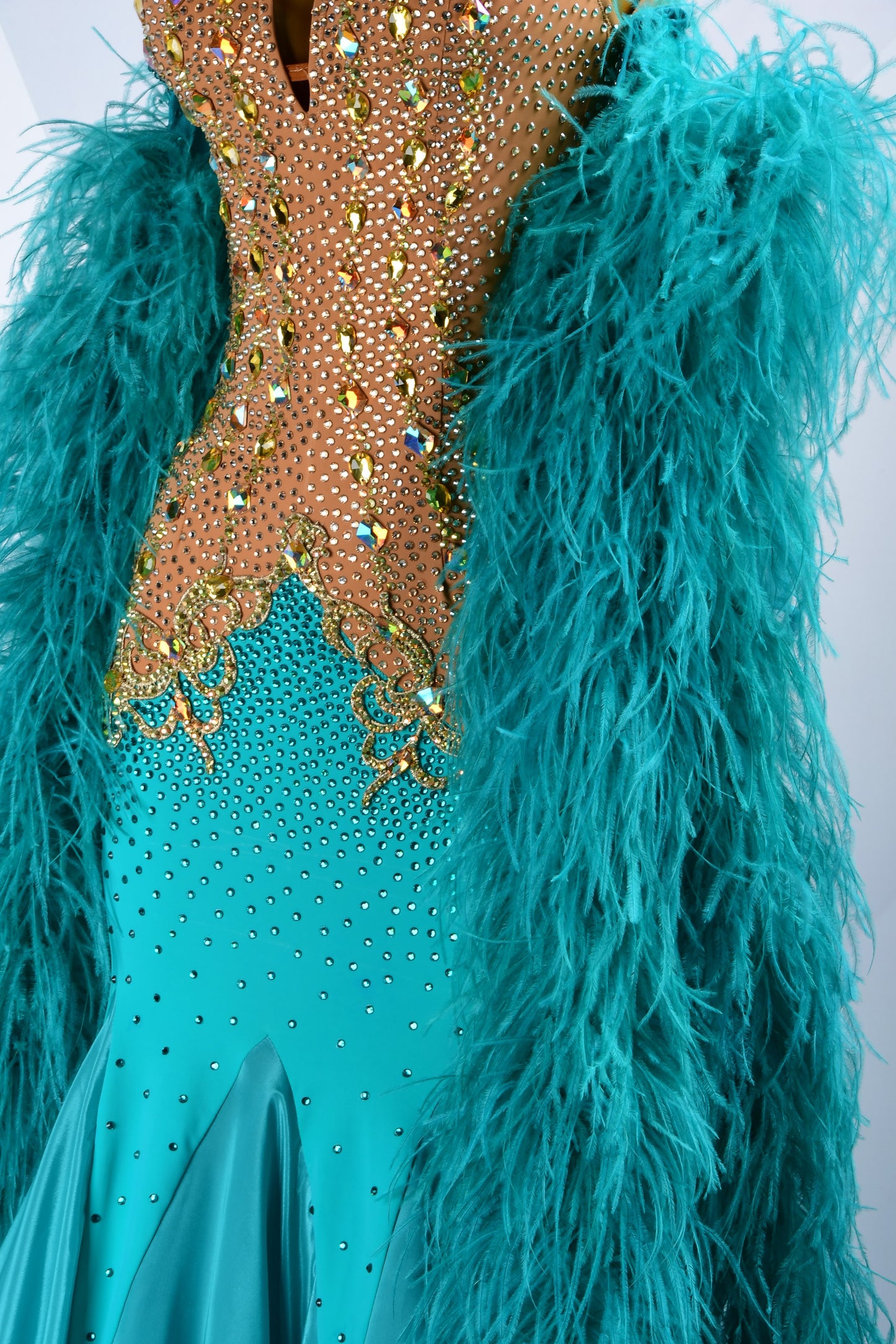 Feathered Ballroom Dress