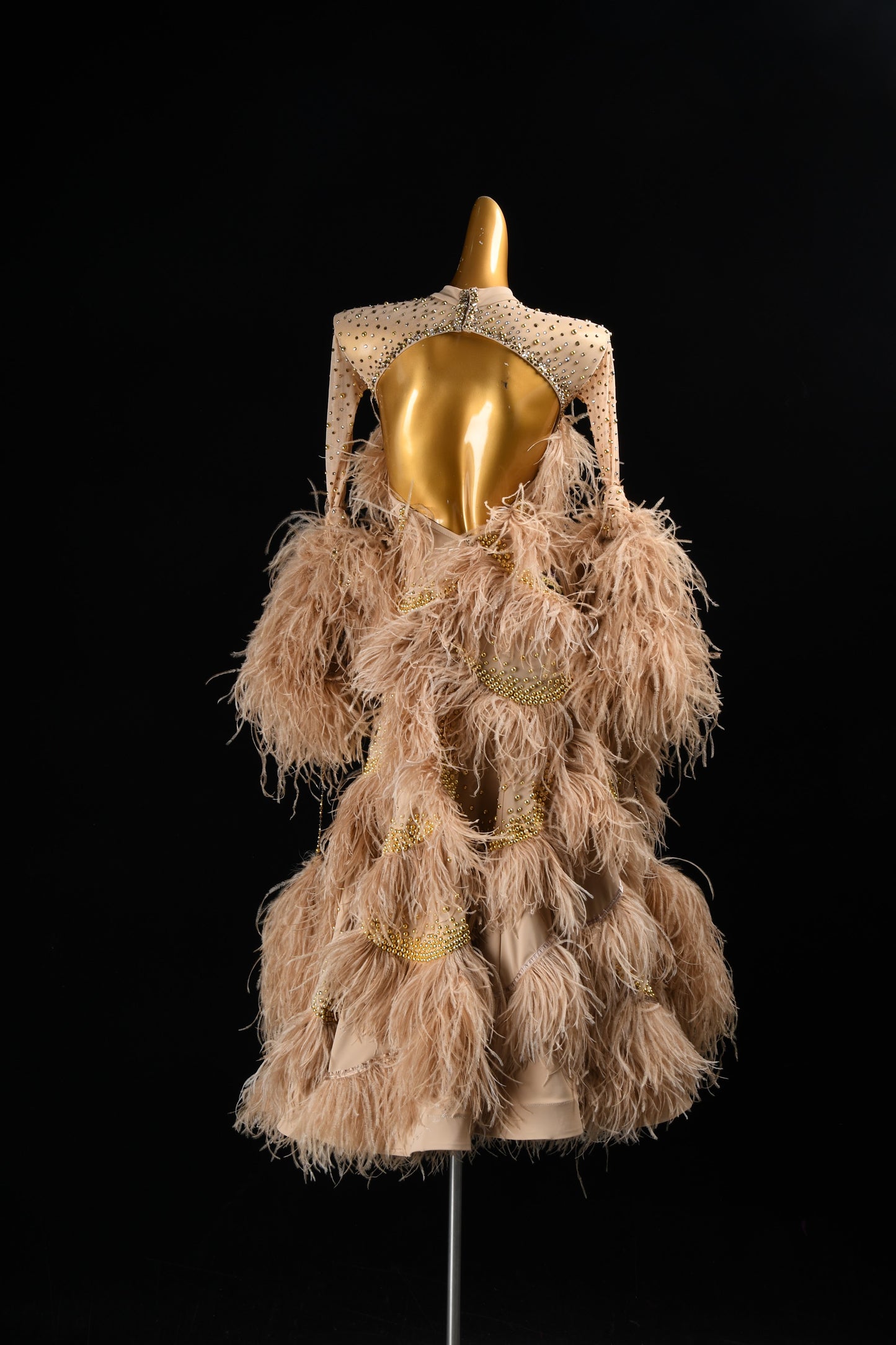 Crystal Ballroom Dancewear