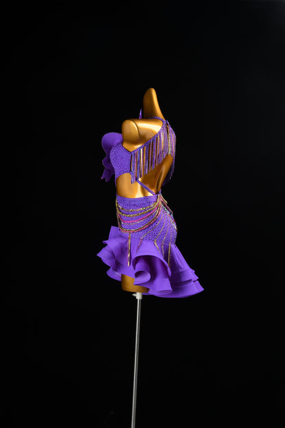 Latin Dance Costume