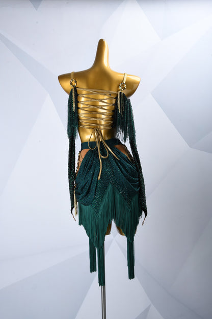 Latin Dress Costume