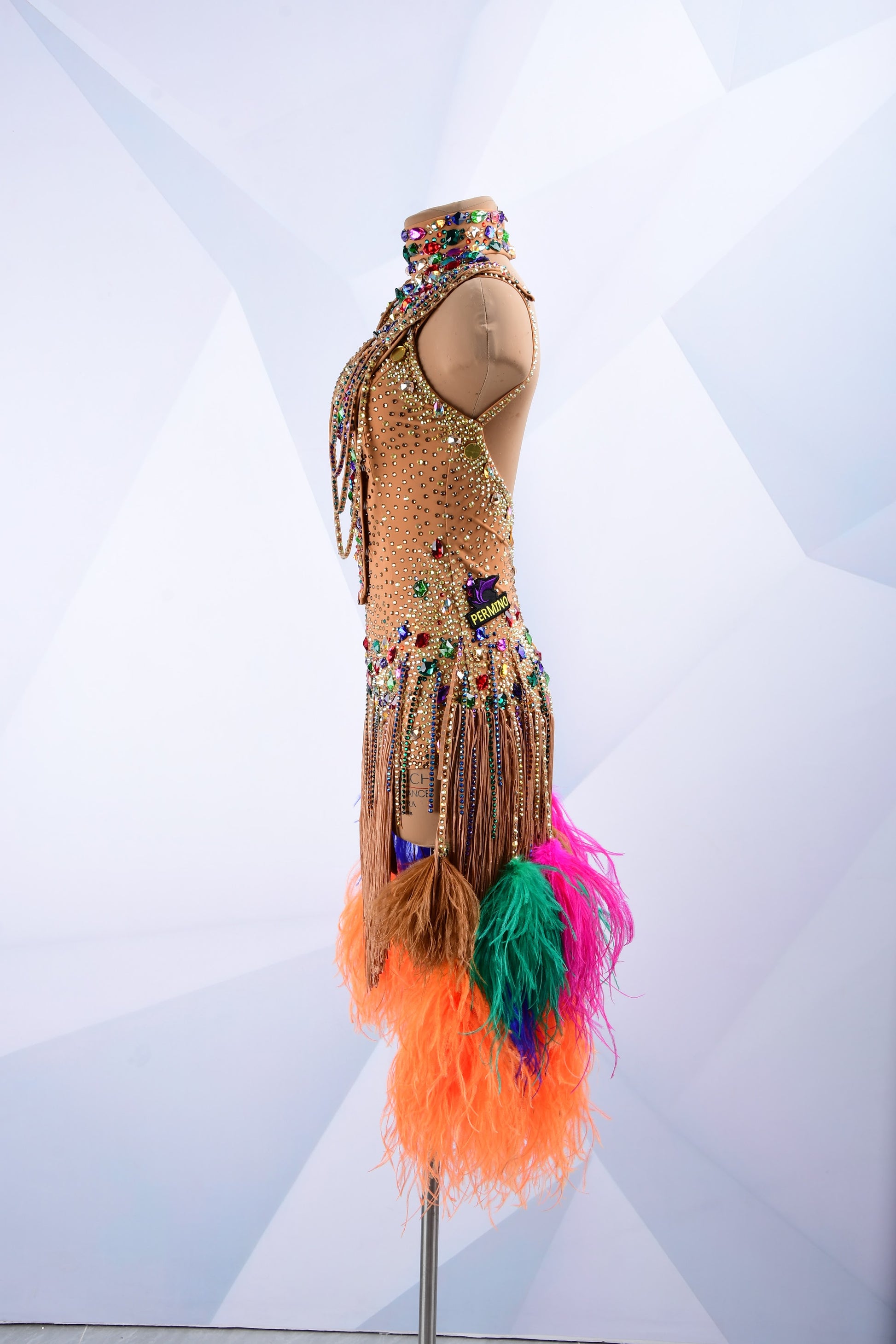 Latin Dance Costume
