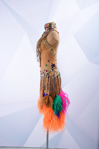 Latin Dance Costume