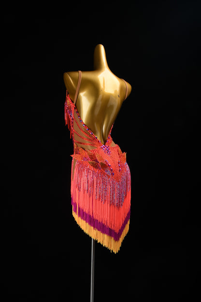 Competition Dress
