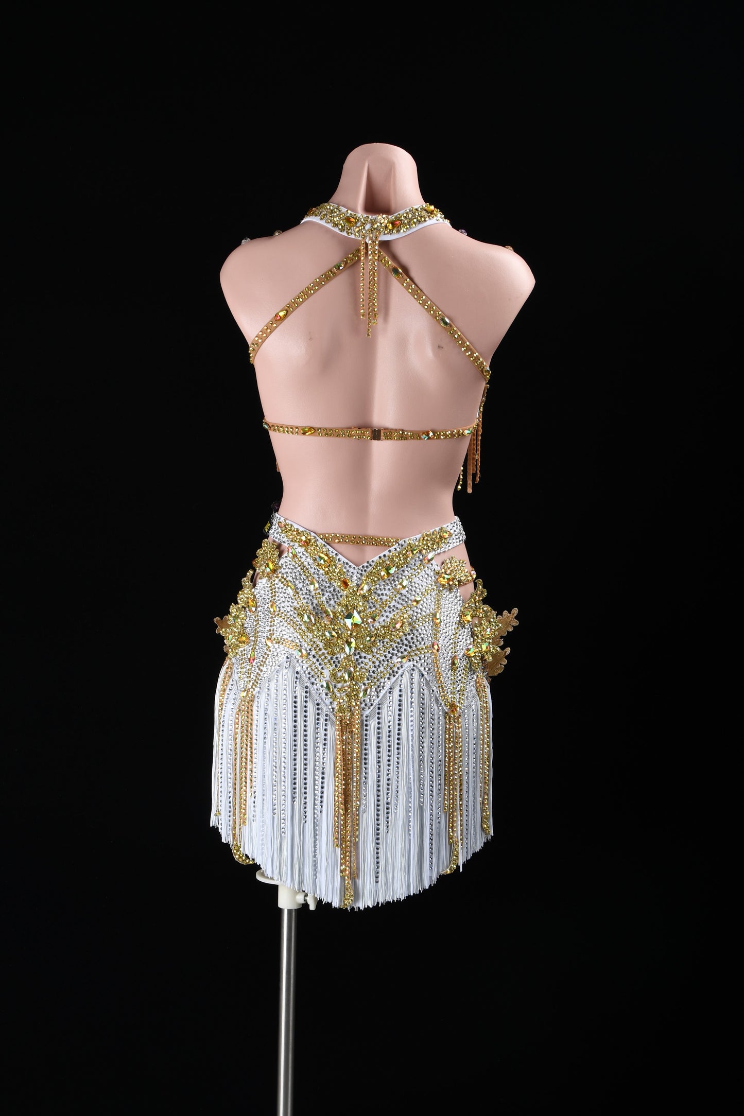 Champagne Empress | Glamour Latin Dress | DSC_3239