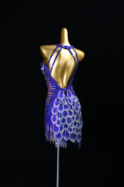 Female Dance Dress