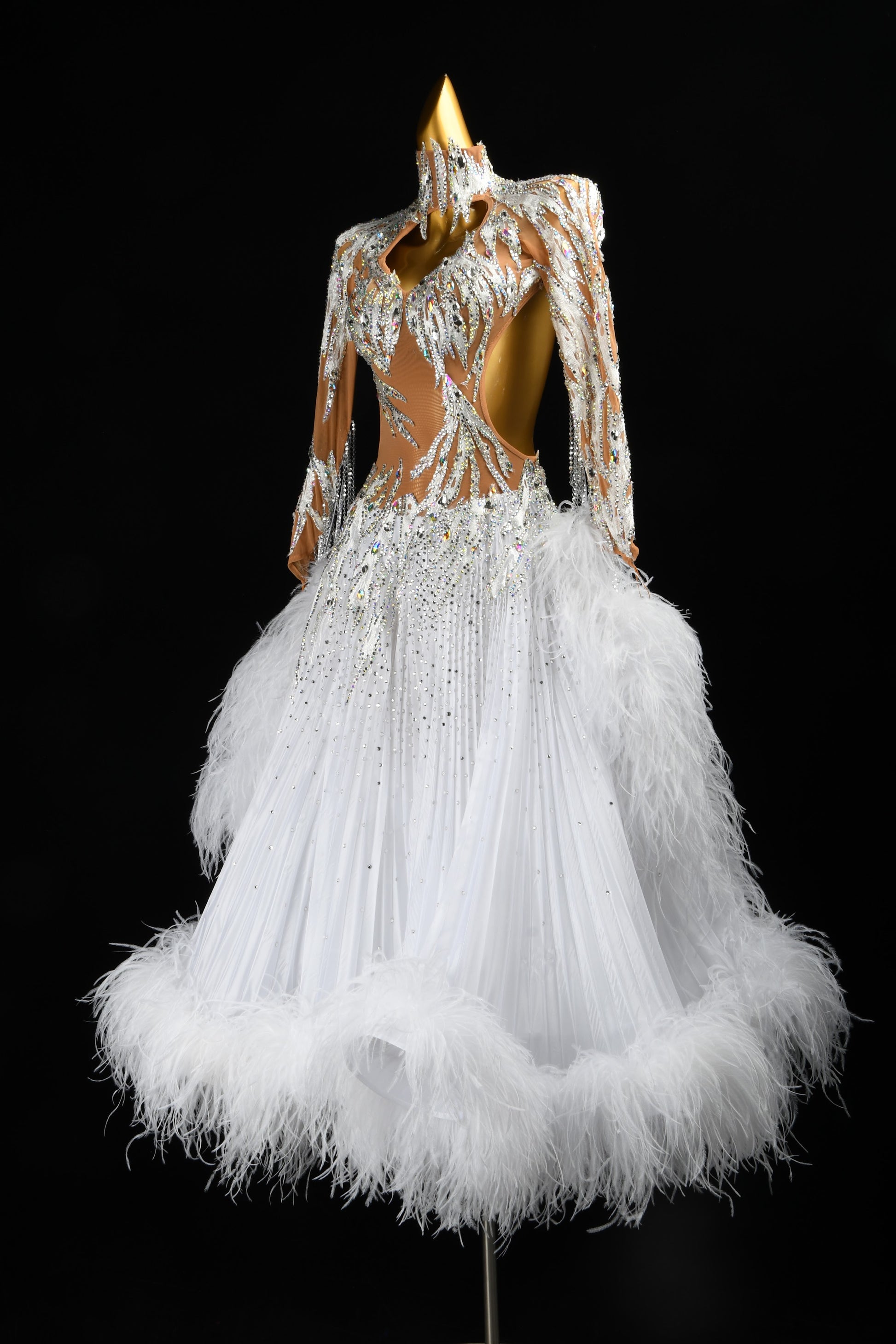 Standard Ballroom Dress