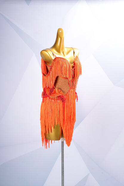 Crystal Latin Competition Dress