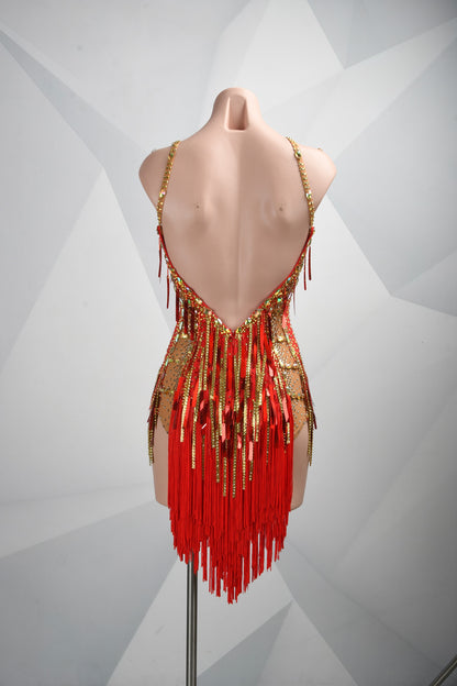 Rhythm Meets Seduction | Latin Stage Dress | DSC_2048