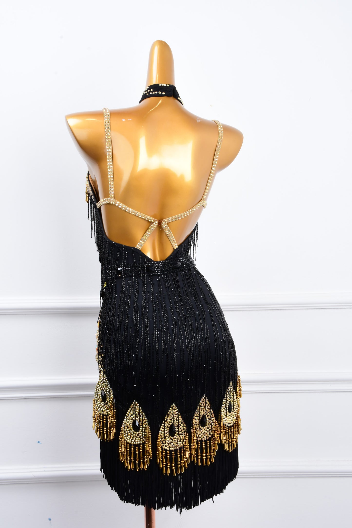 Professional Latin Costume