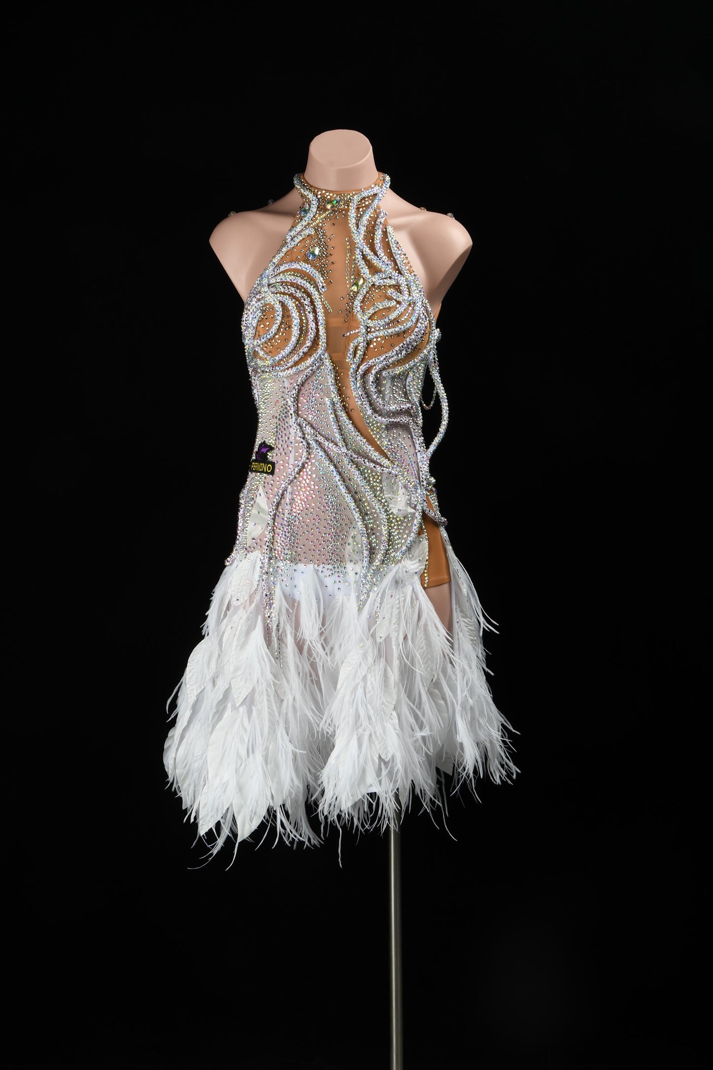 Latin Dance Costume