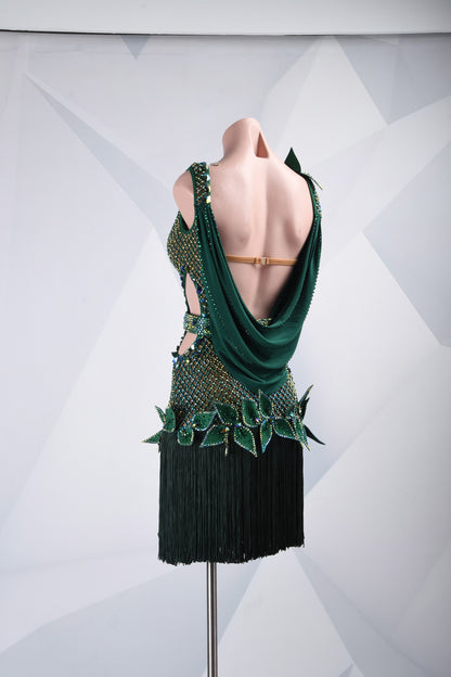 Secret Garden | Fringe Latin Dress | DSC_2080
