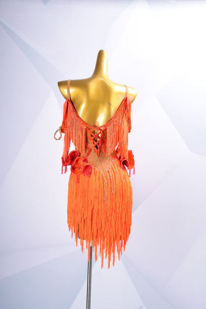 Crystal Latin Competition Dress