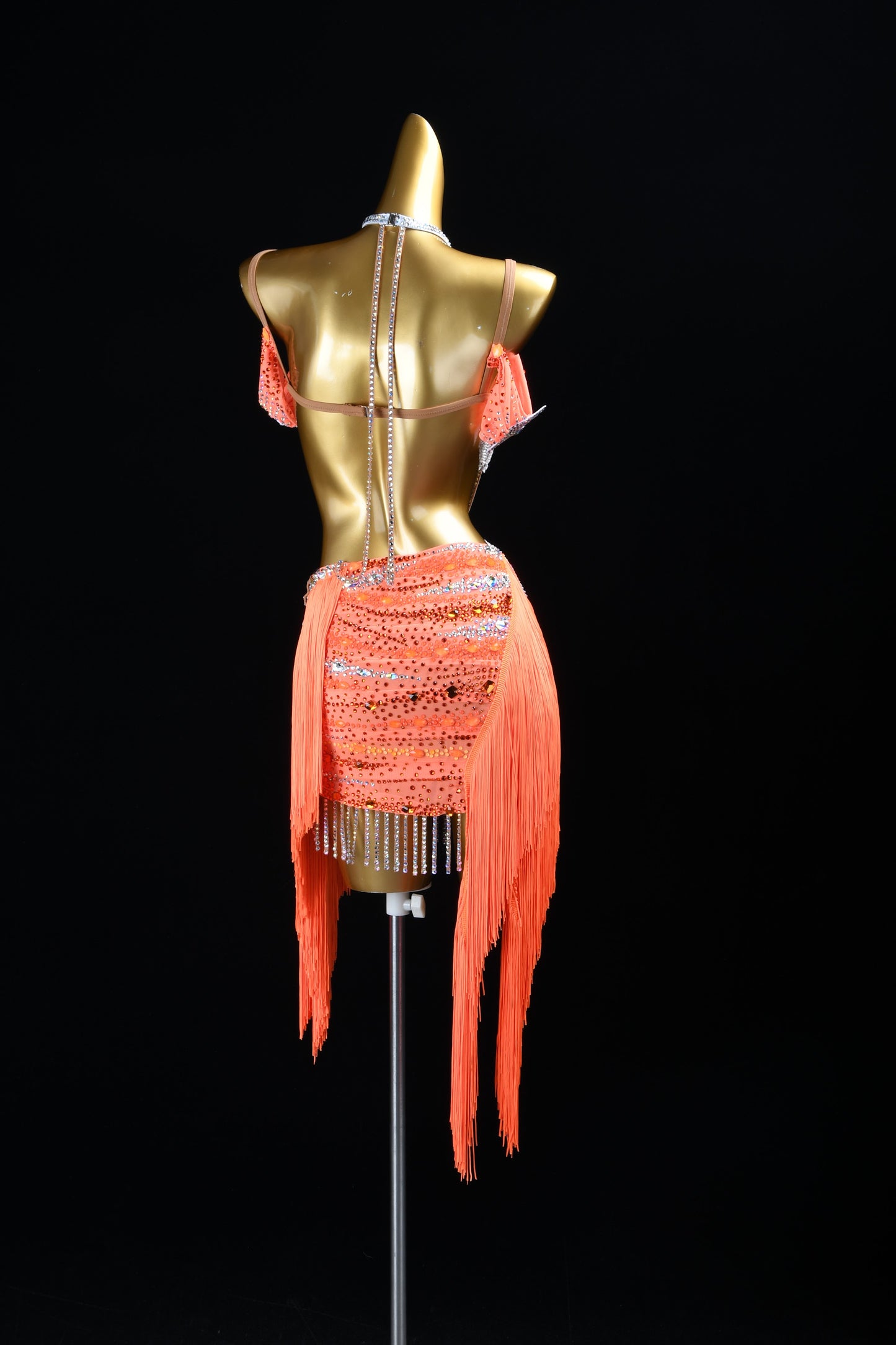 Dancing Beneath a Tropical Sunset | Latin Dress | DSC_9341