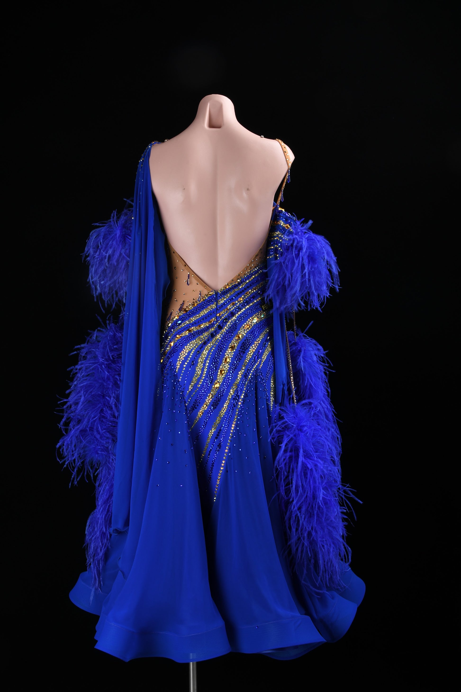 Ballroom Competition Costume
