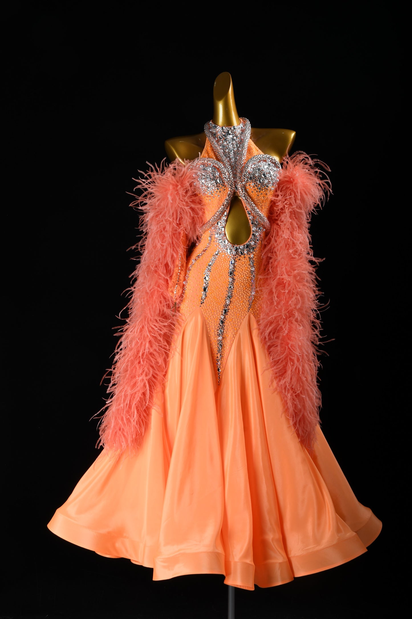 Professional Ballroom Competition Dress 