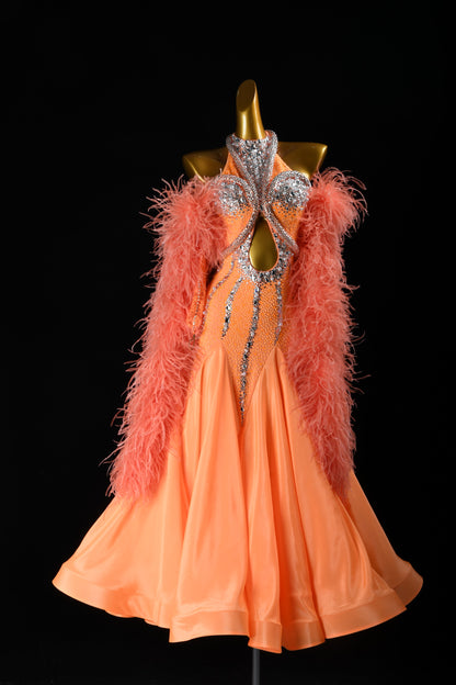 Professional Ballroom Competition Dress 