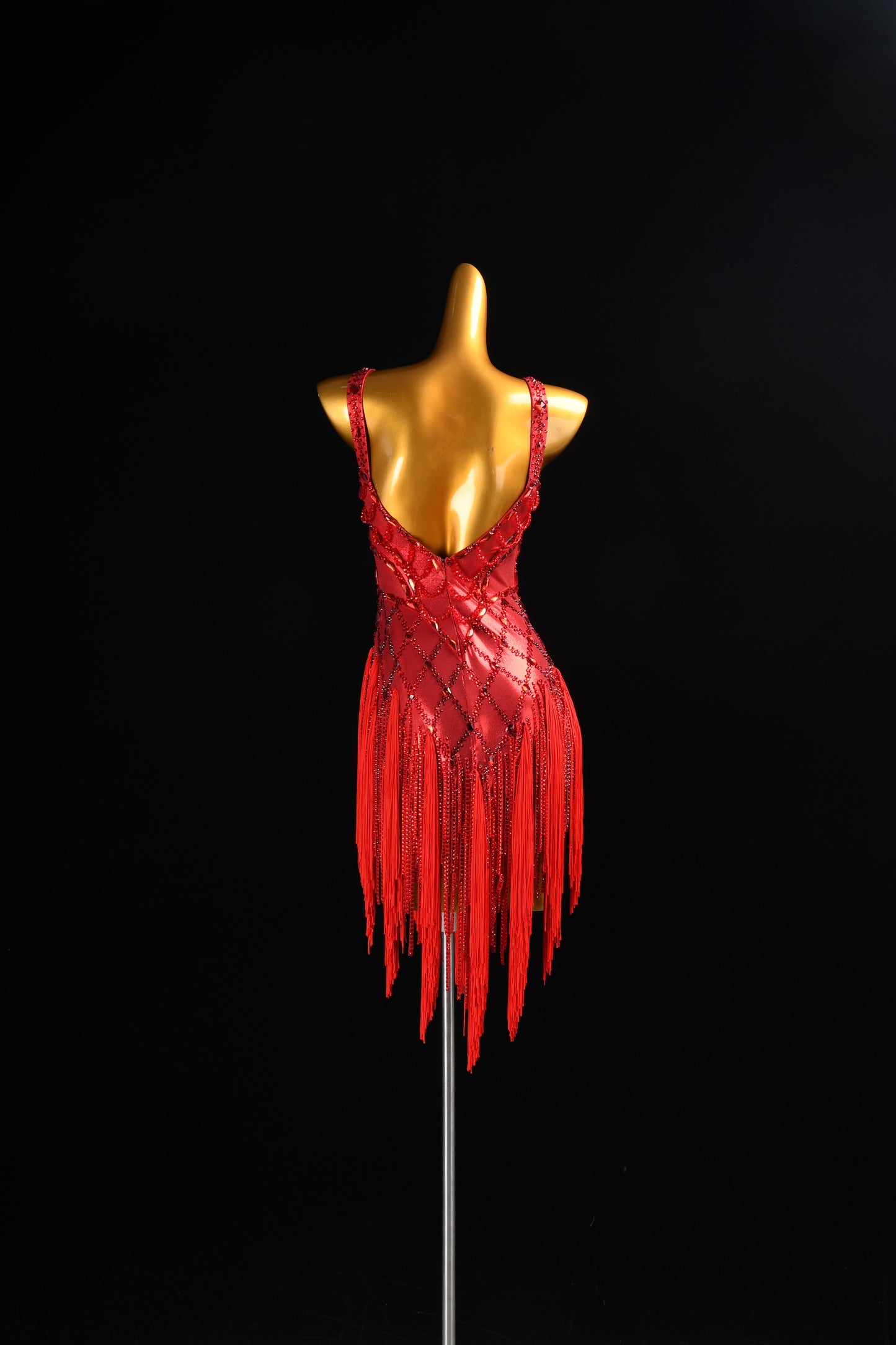 Custom Latin Dance Costume
