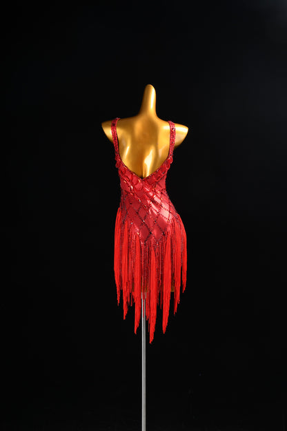 Custom Latin Dance Costume