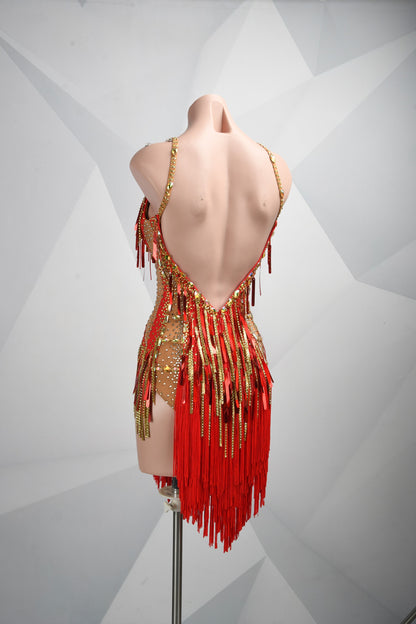 Rhythm Meets Seduction | Latin Stage Dress | DSC_2048