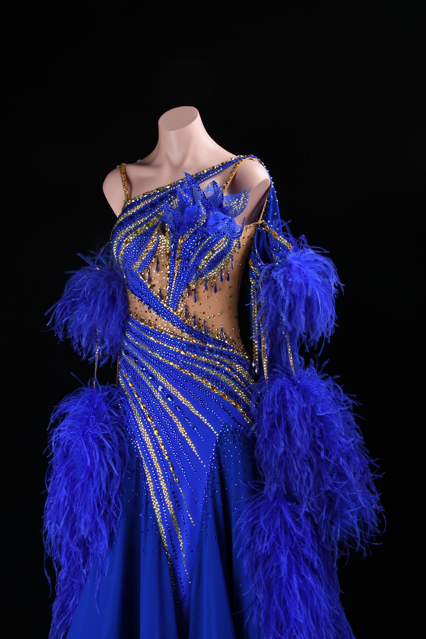 Ballroom Competition Costume