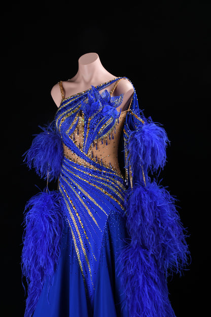 Ballroom Competition Costume