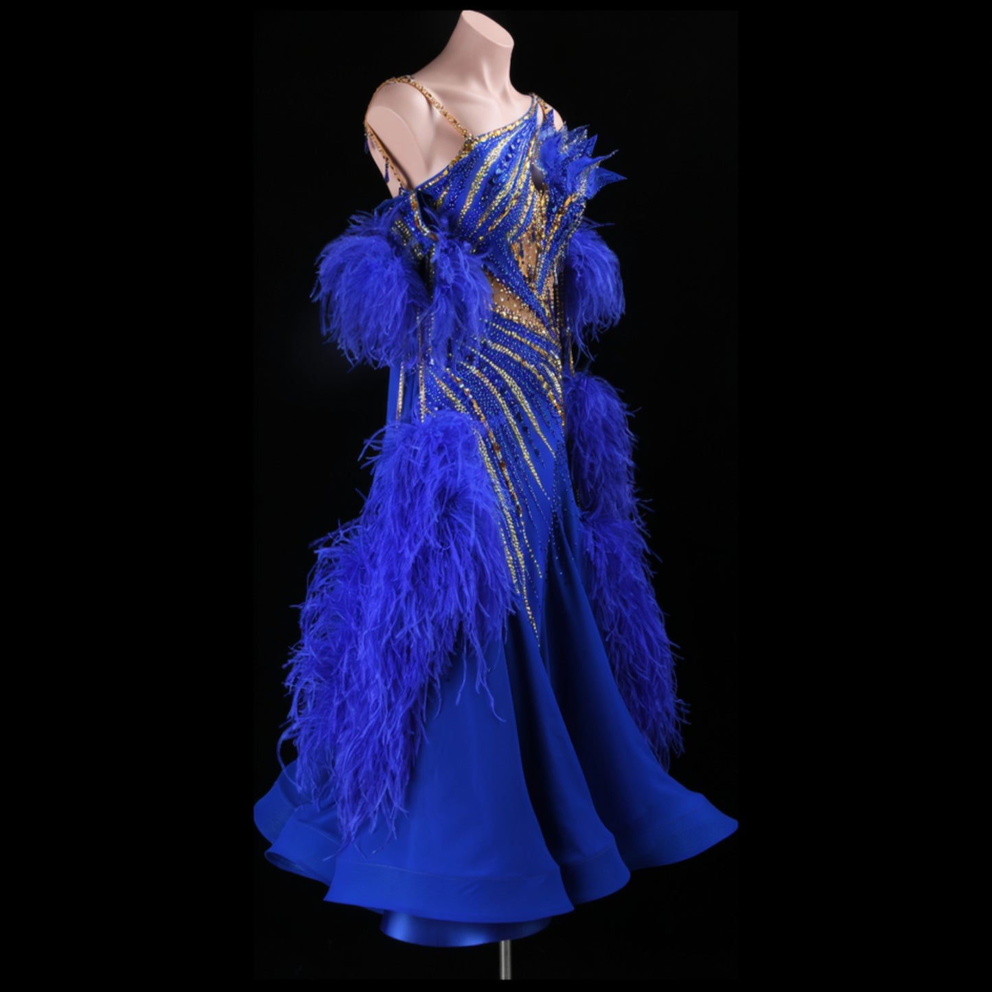 Ballroom Competition Costume